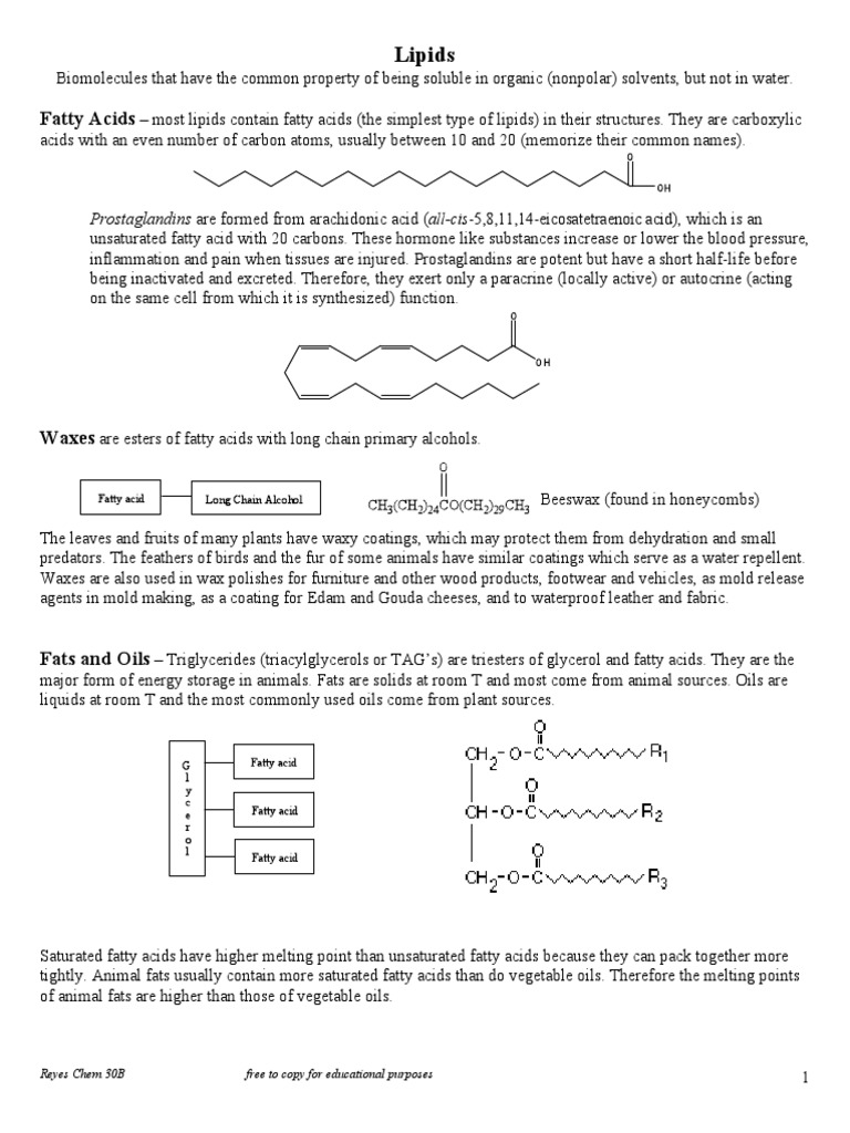 Classification of Lipids Wax Lipid