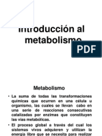 3.2.metabolismoconceptosbasicos 24473