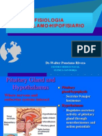 2-Hormonas Hipofisiarias y Regulacion Por El Hipotalamo-Dr Ponciano