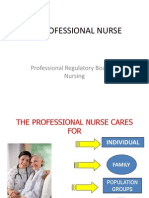 The Professional Nurse: Professional Regulatory Board of Nursing