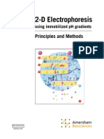 2D Electrophoresis