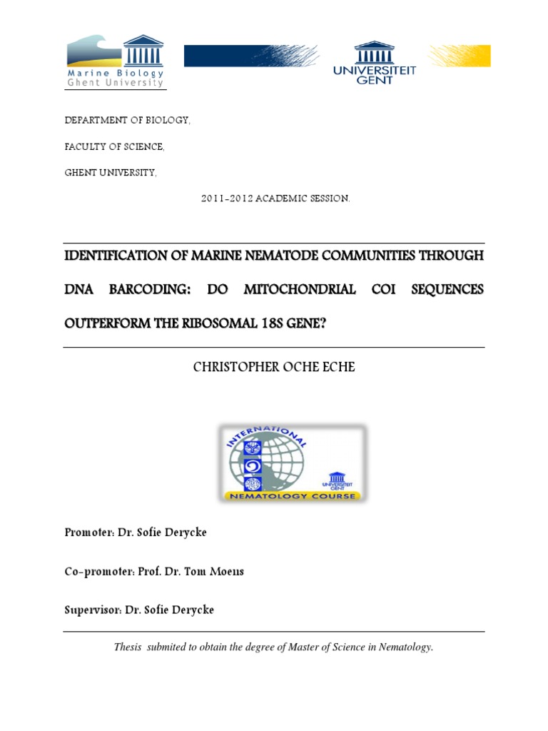 Pcr thesis pdf image