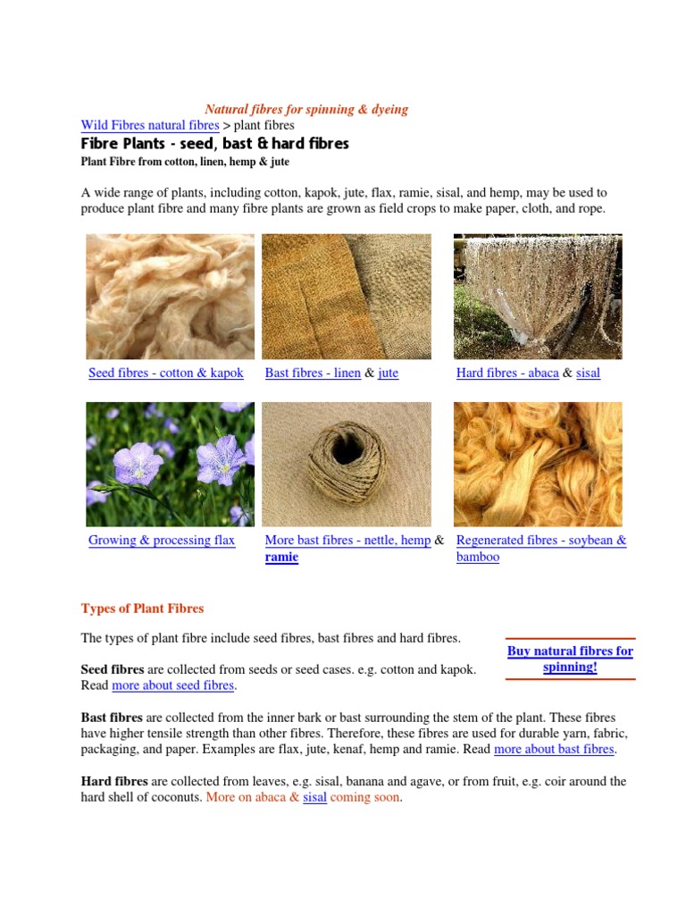 Examples of Plant Fibers and Crops | PDF