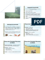 Pescado3 PDF