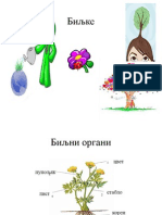 Zivotni Ciklus I Biljni Organi