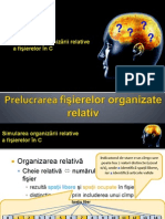 07 - Simularea Organizarii Relative a Fisierelor