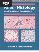 Download atlas-of-histology by api-19968367 SN23545356 doc pdf