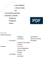 ESTRUCTURA CELULAR.ppt