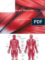 Fatouh - 4to ano - Sistema Muscular 2009