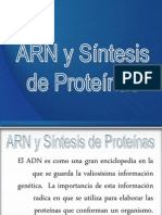 ARN y Síntesis de Proteínas