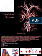 Fatouh - 3er Ano - Sistema Circulatorio Humano