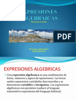 Expresiones Algebraicas 2014