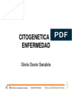 CitogeneticaEnf.pdf