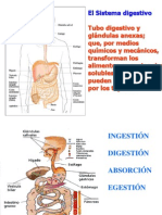 digestivo_1.ppt