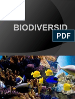 Biodiversidad Clases