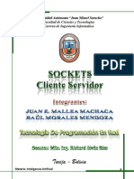Sockets Cliete Servidor