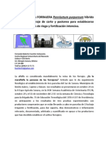 Maralfalfa forrajera Pennisetum purpureum híbrido o variedad para establecimiento bajo riego y fertilización intensiva