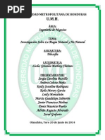 Informe Filosofia Magia Natural y No Natural 0001