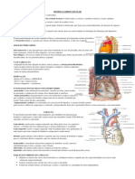 Sistema Ciruculatório2 Final PDF