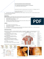 Sistema Muscular 5