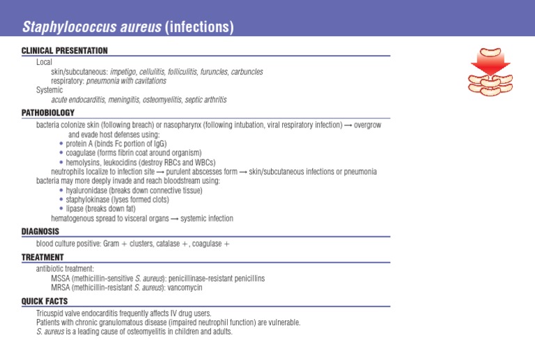 Staphylococcus Aureus Infections Overview | PDF