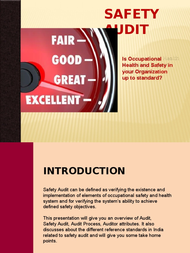 Safety Audit PDF Business