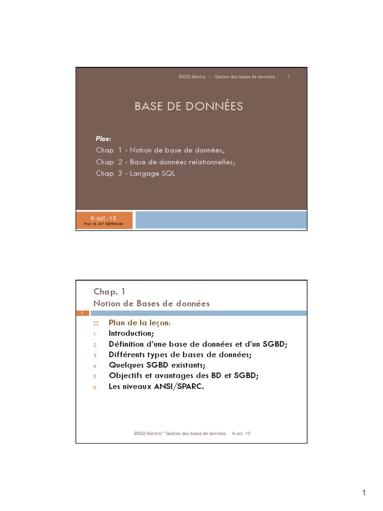 Bases de Donnees | PDF | Base de données relationnelle | Bases de données