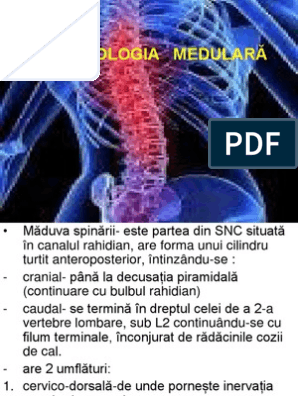 Spondiloza - Bio-Ortoclinic