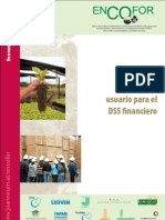 Manual de usuario DSS financiero