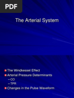 3 - The Arterial System