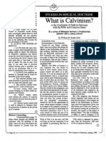 1989 Issue 1 - What Is Calvinism?: Presbyterianism of The Reformers - Counsel of Chalcedon