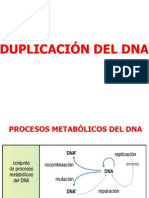 4. Dna.duplicacion