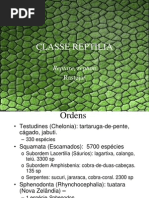 10. Classe Reptilia