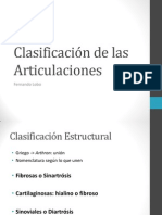 Clasificación de Las Articulaciones