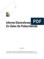 Trabajo Electroforesis