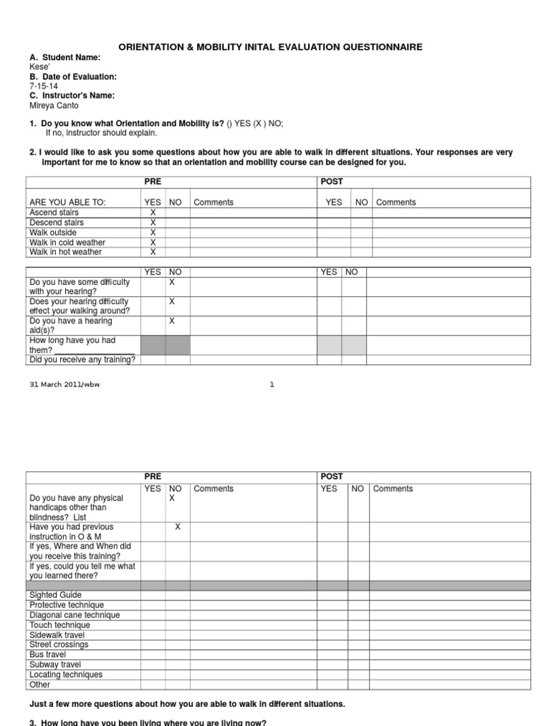 Om Assessment Questionnaire PDF Visual Impairment Walking