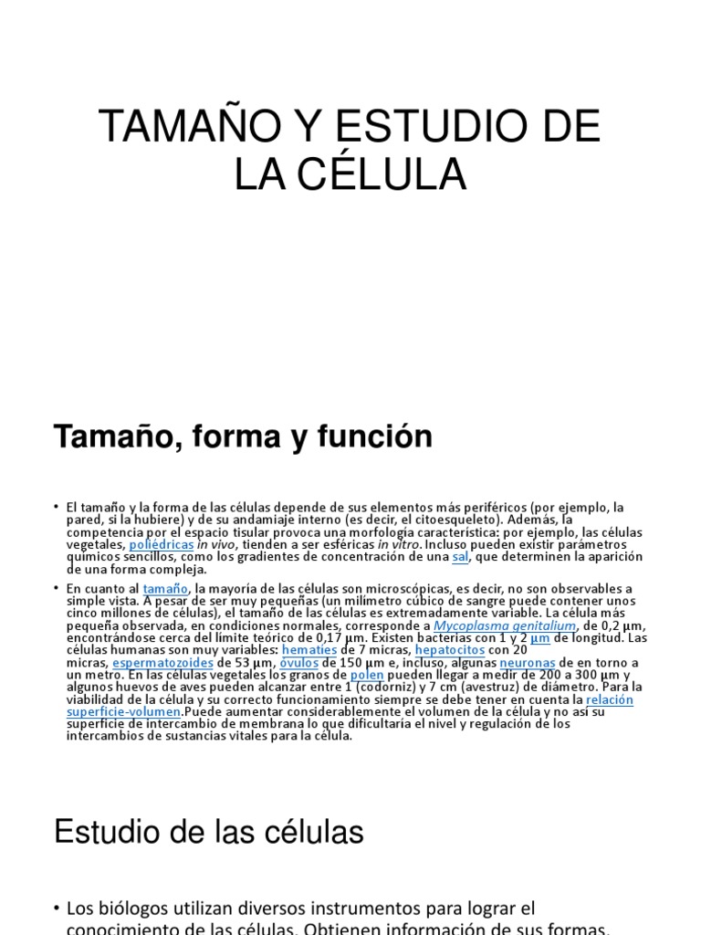 Tamaño y estudio de las células | PDF