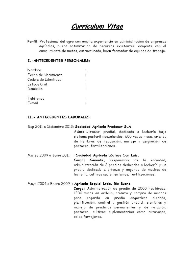 Curriculum vitae sample pdf image