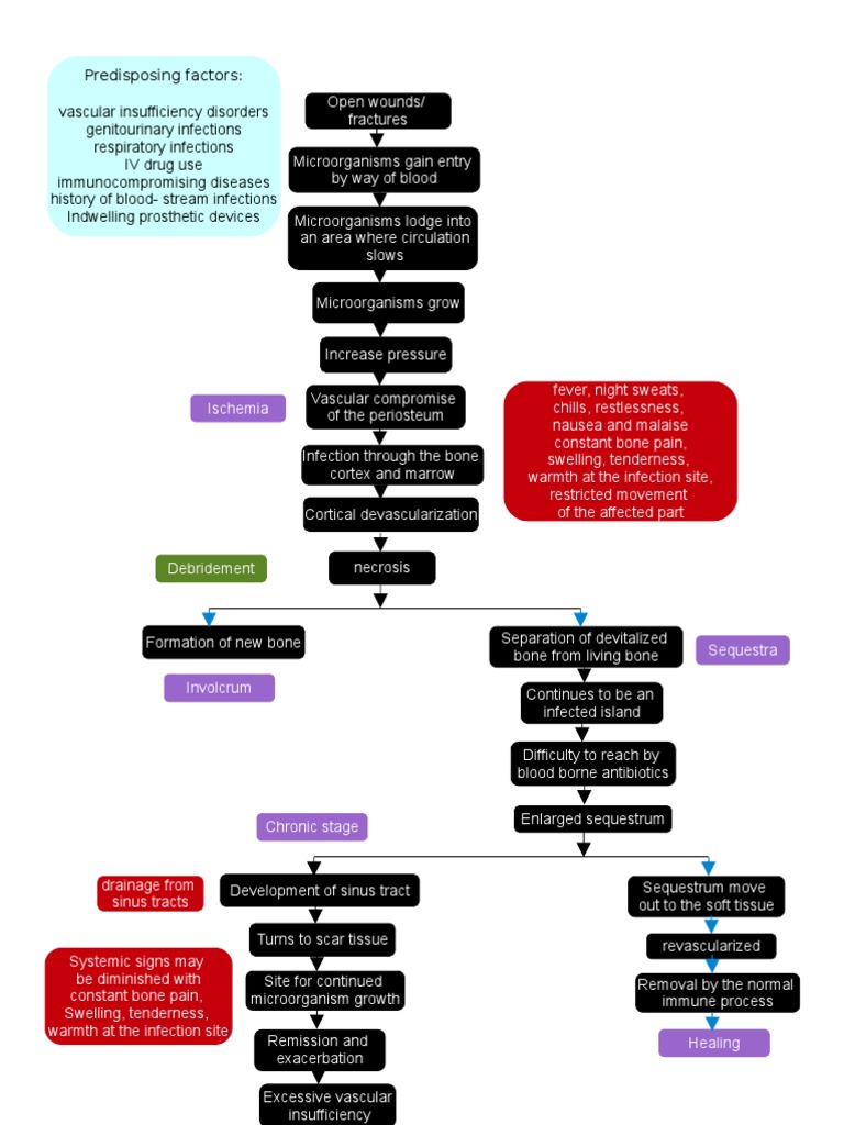 [DIAGRAM] Dementia Pathophysiology Diagram - MYDIAGRAM.ONLINE