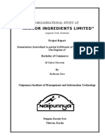 Organisational Study at Kancor Ingredients Limited