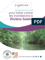 Mise Hors D'eau de La Ville de Rivière Salée