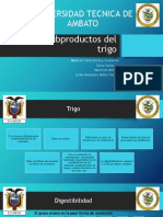 Nutrición Trigo