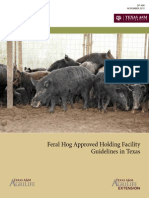 Feral Hog Approved Holding Facility Guidelines in Texas