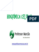 Bioqumica Celular - Composio Quimica Celular - 1 Ano Modo de Compatibilidade