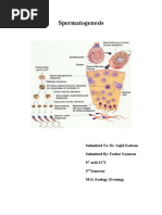 Download Spermatogenesis by api-26413035 SN23563753 doc pdf