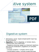Chapter 5 Digestive System-P.P