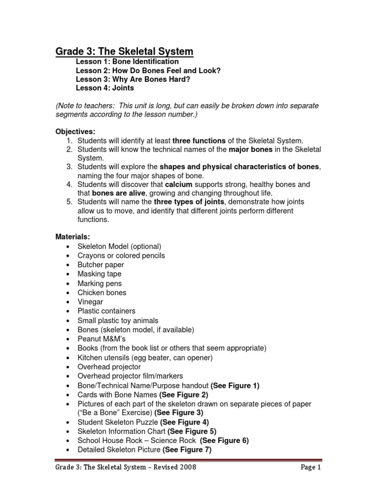 Grade 3 Skeletal System Lesson Plan | PDF | Skeleton | Bone
