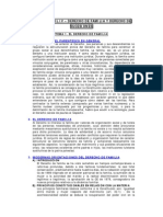 Derecho Civil - Familia y Sucesiones.pdf