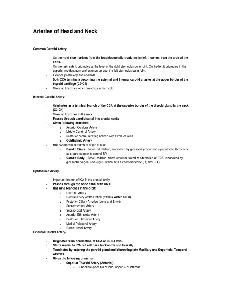 Arterial Supply of Head and Neck | PDF | Common Carotid Artery | Human ...