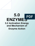 5.2 Activation Energy (Edited)-A4